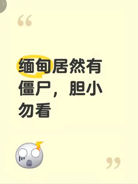 《缅甸僵尸出土事件》高清无删减-揭秘缅北神秘真相-全集免费在线观看-僵尸出土视频完整版