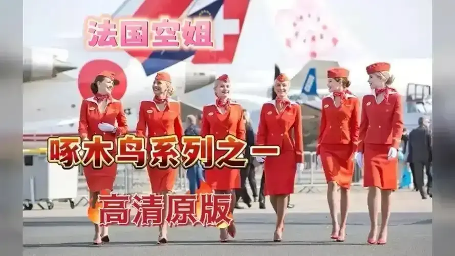 《法国空姐2019》全片无删在线观看1080P-《法国空姐》未裁剪版国语中字免费播放-法国航空空乘背后故事电影