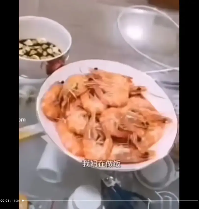 《大虾母子厨房完整版》高清视频在线观看-大虾母子厨房完整版免费播放-全集资源下载