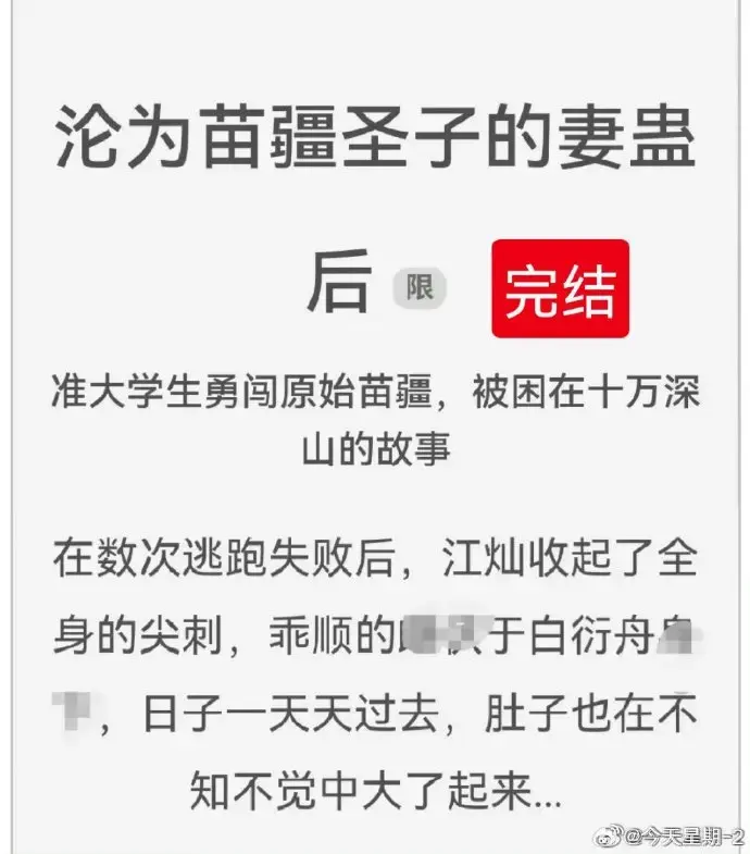 《沦为苗疆圣子的妻蛊后》全文在线阅读完结版-txt电子书免费下载