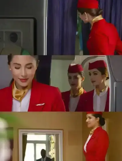 《法国空姐2》相关资源图片